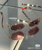 stylish glasses 02840