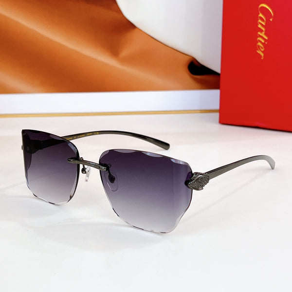 fashion sunglasses 02836