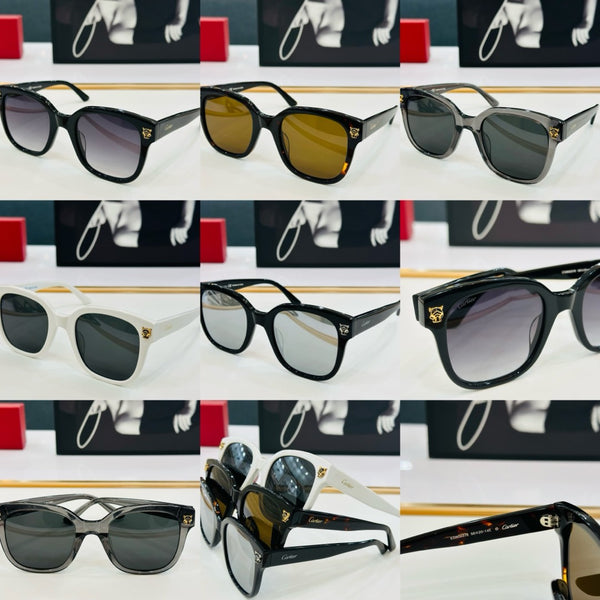 fashion sunglasses 02831