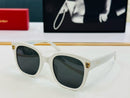 fashion sunglasses 02831